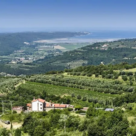 Villa Beautiful Monte With Pool Momjan