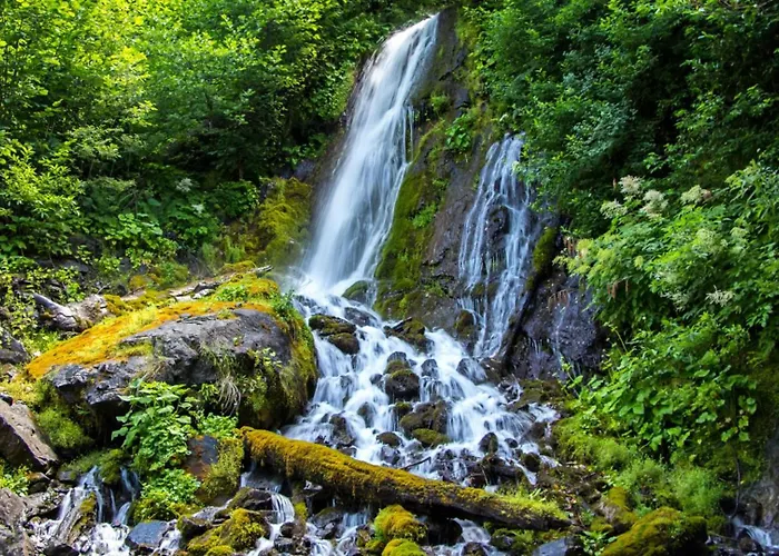 Villa Beautiful Monte With Pool Momjan